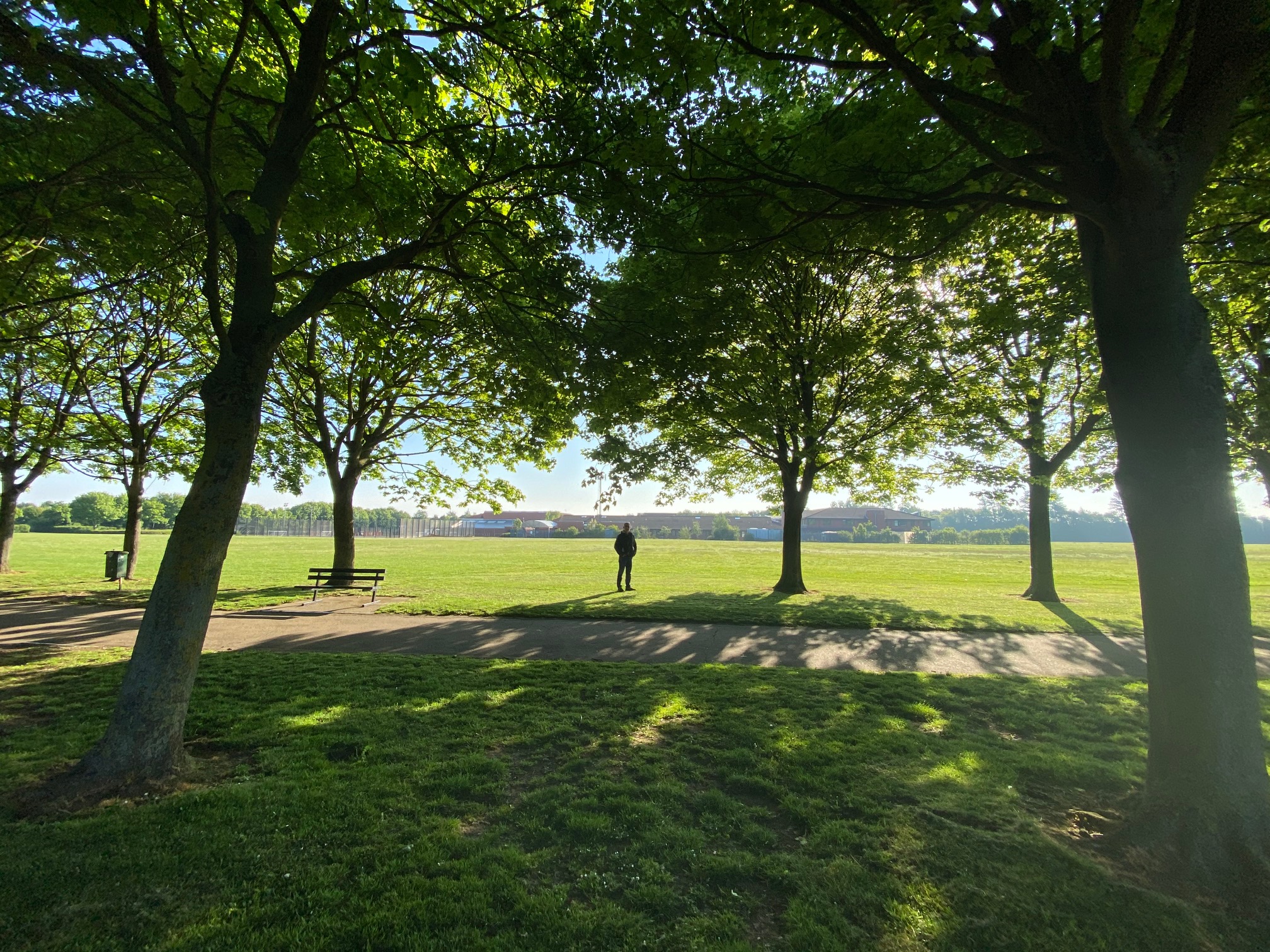 Figure stands between trees looking out over Werrington Fields - which the council and school want to fence off